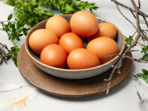 DISTRIBUTOR TELUR AYAM SEMI OMEGA TERDEKAT DI YOGYAKARTA TERBAIK TERPERCAYA